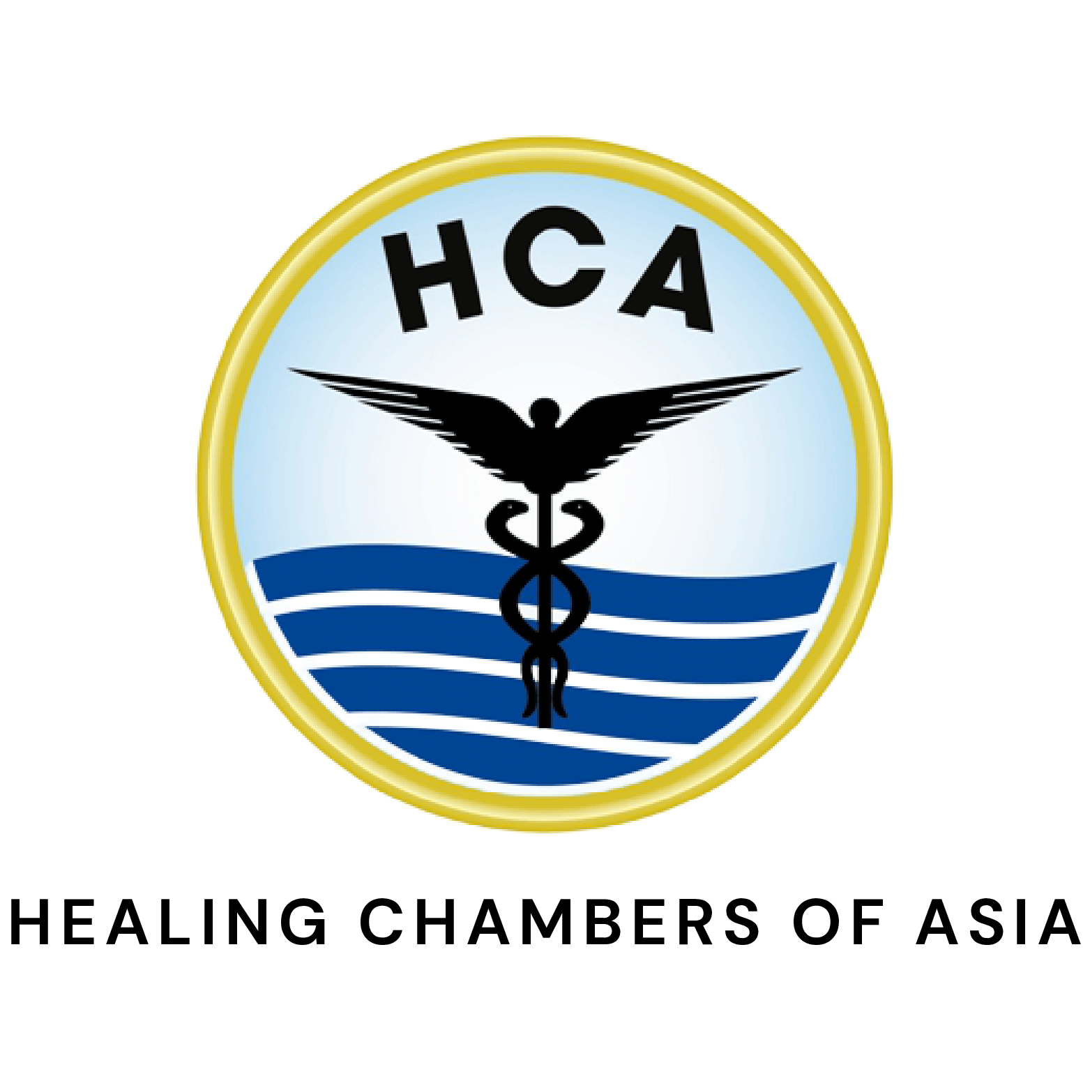 Logo HCA
